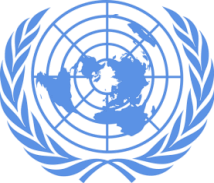 Organisation des Nations Unies